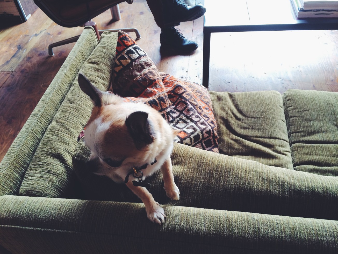 Processed with VSCOcam with f2 preset