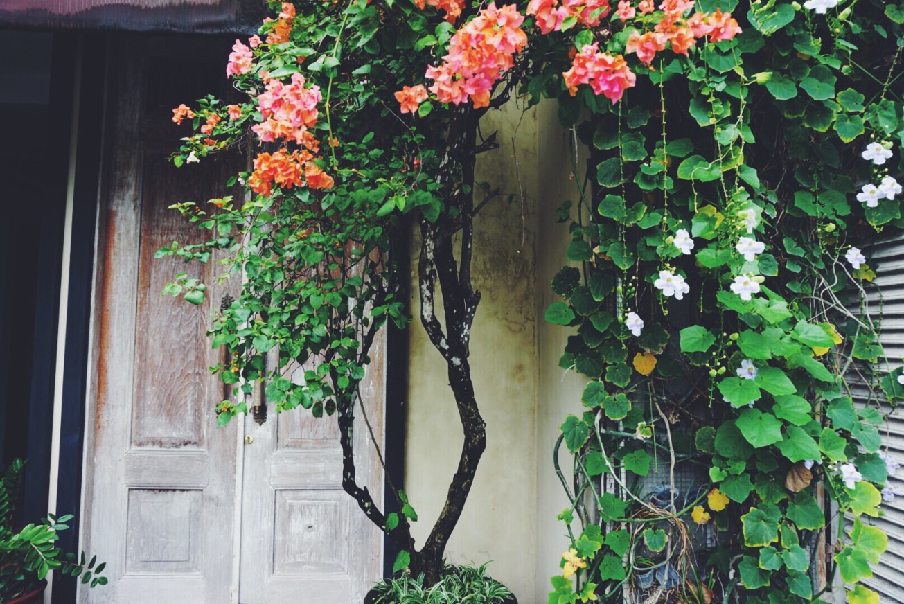 Processed with VSCOcam with f2 preset