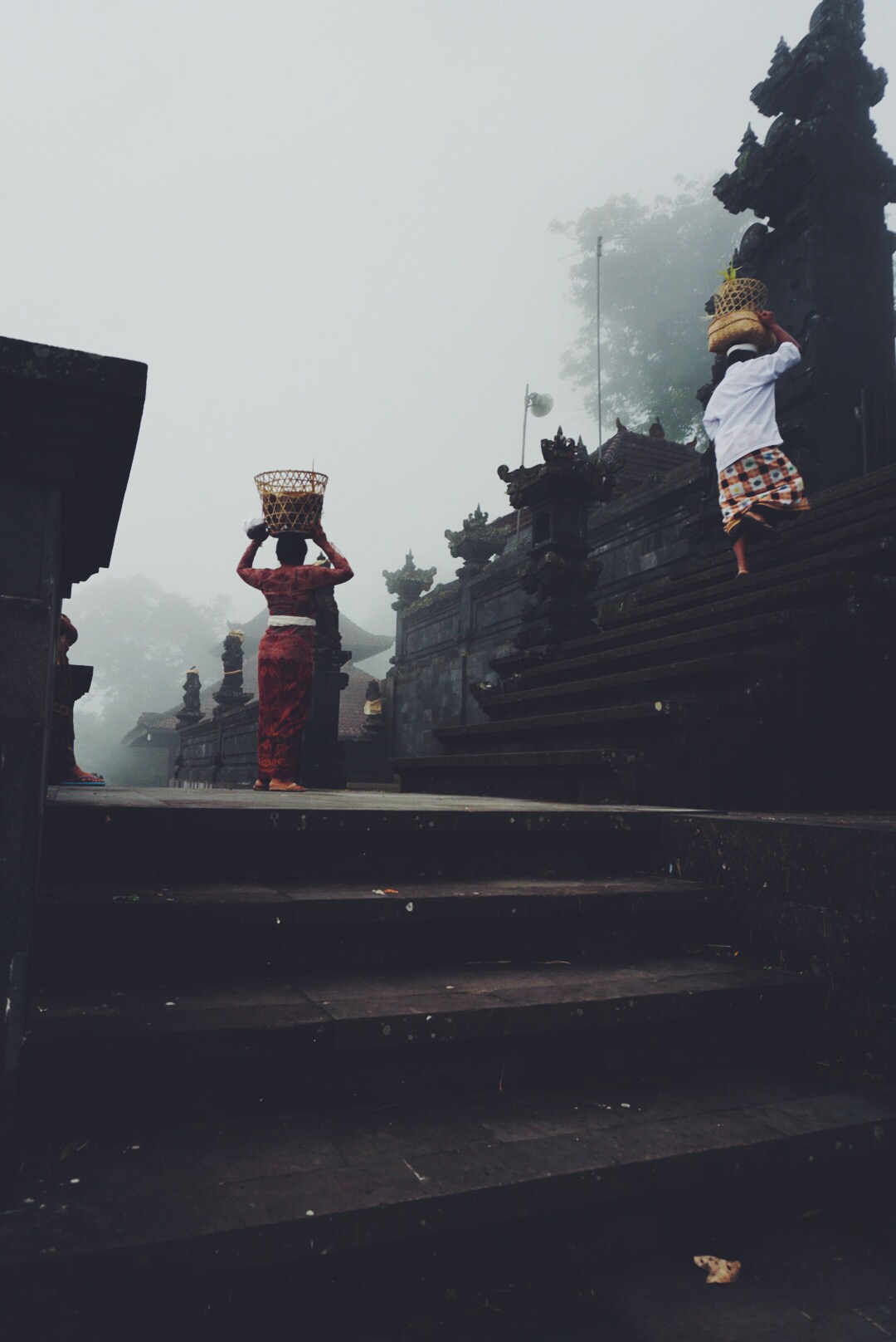 foggy bali