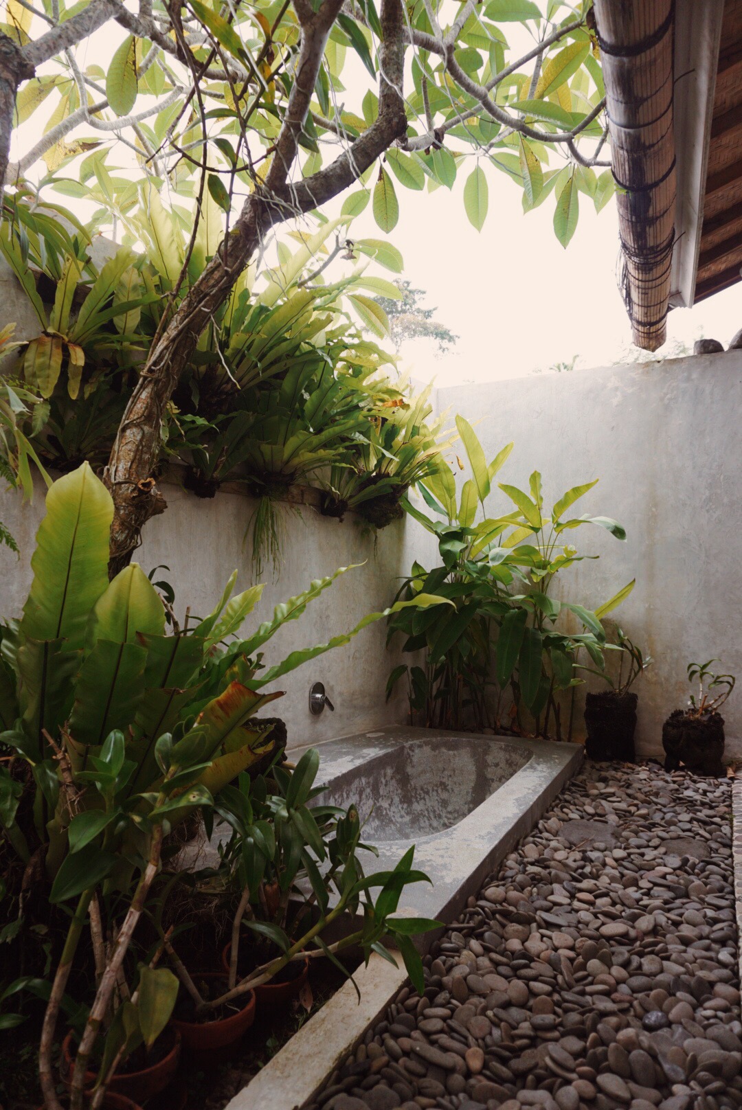 Processed with VSCOcam with kk2 preset