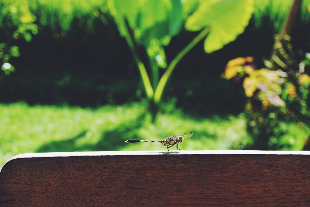 Processed with VSCOcam with f2 preset