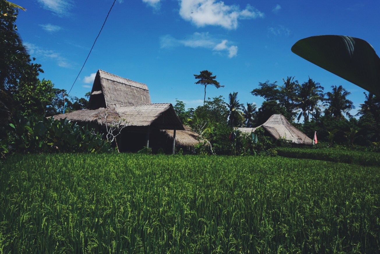 Processed with VSCOcam with f2 preset