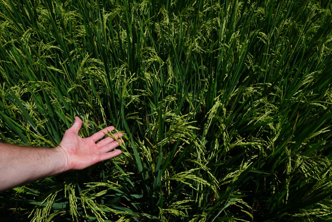 Photo Mar 01, 3 56 22 AM