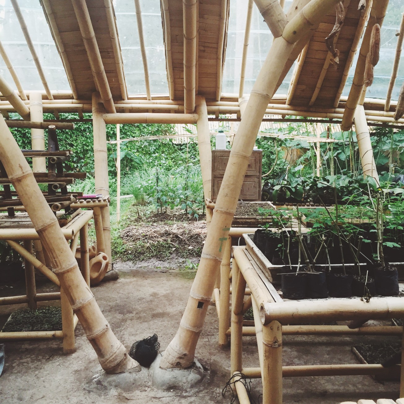 The greenhouse