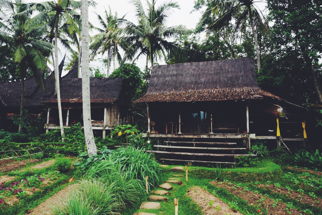 Gardens surrounding the Joglos
