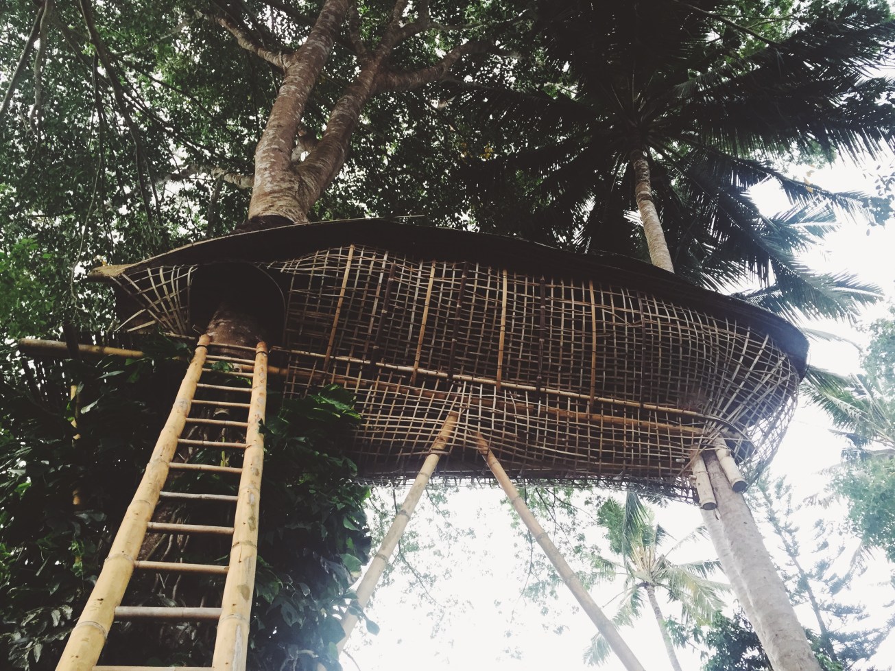 Processed with VSCOcam with f3 preset