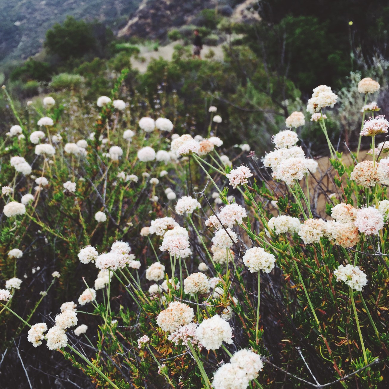 Processed with VSCOcam with f3 preset