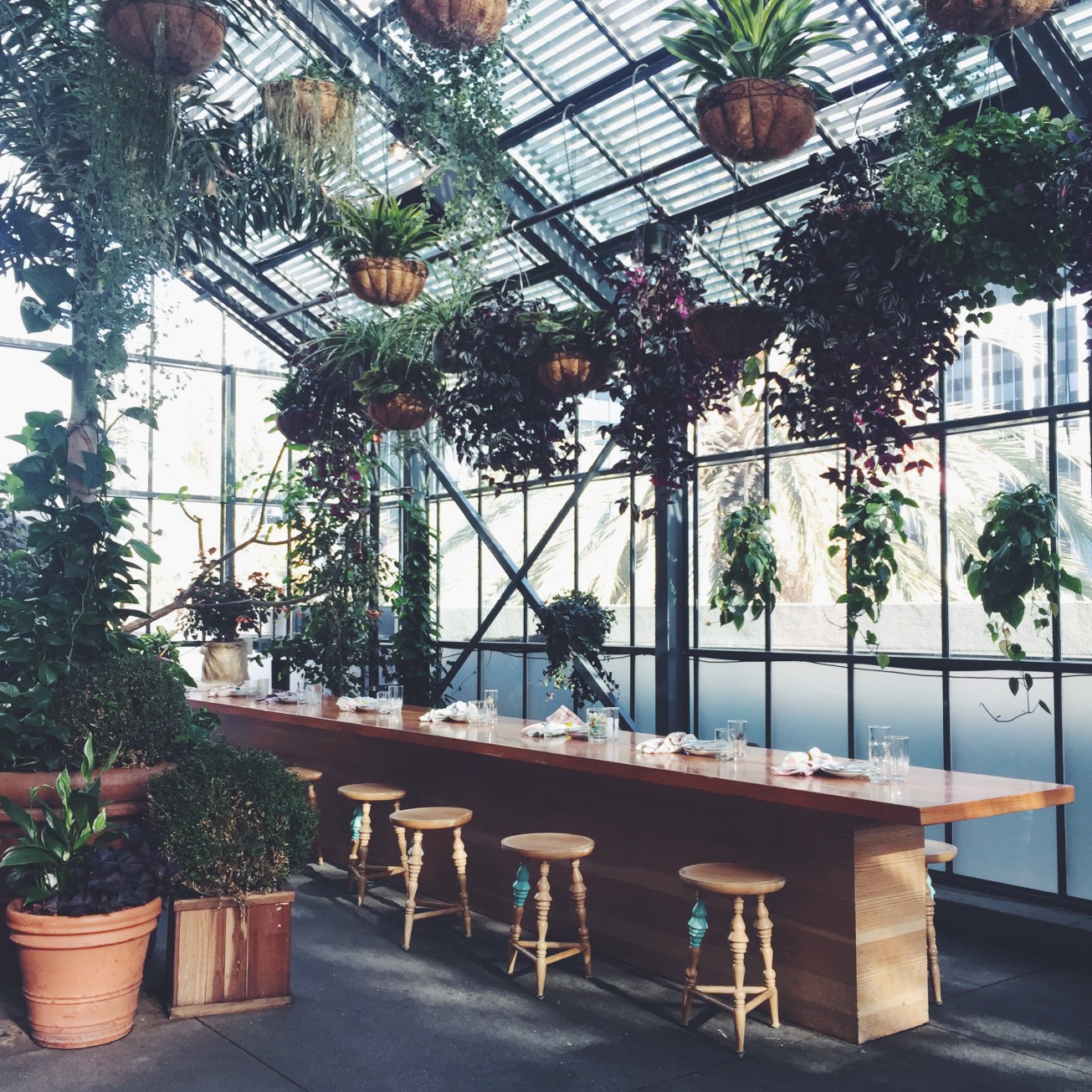 More plant inspiration at the Commissary at the LINE