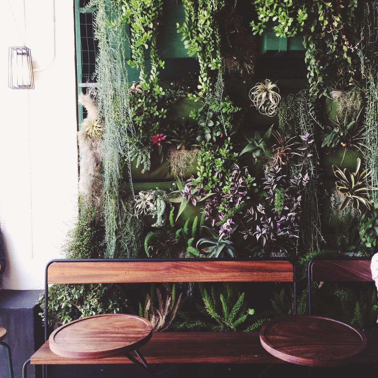 Processed with VSCOcam with f3 preset