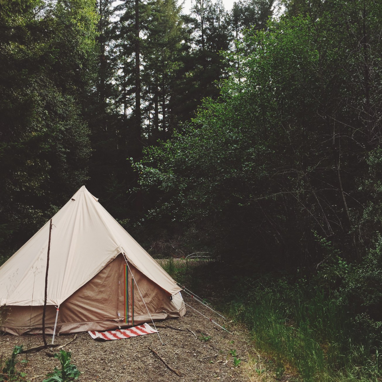 The beautiful Stout Tent