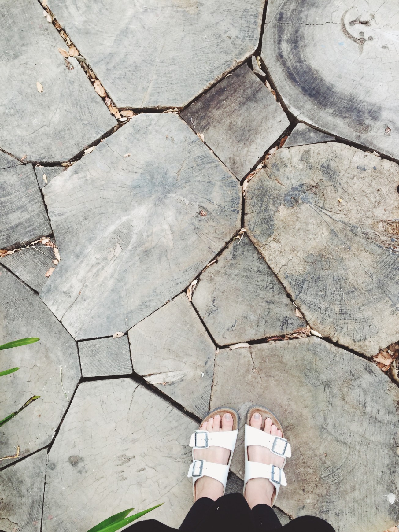 wood grain floors. Yes please