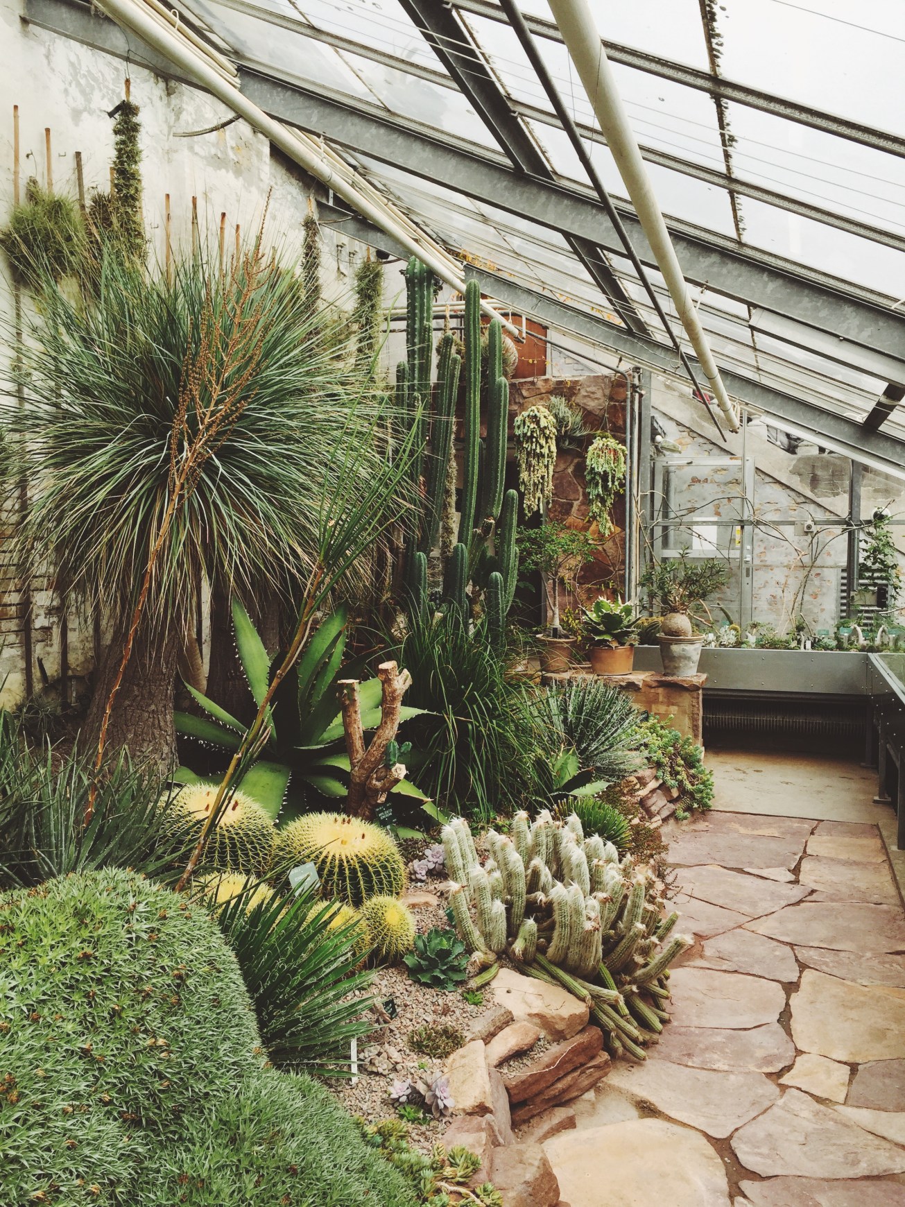 Processed with VSCOcam with f3 preset