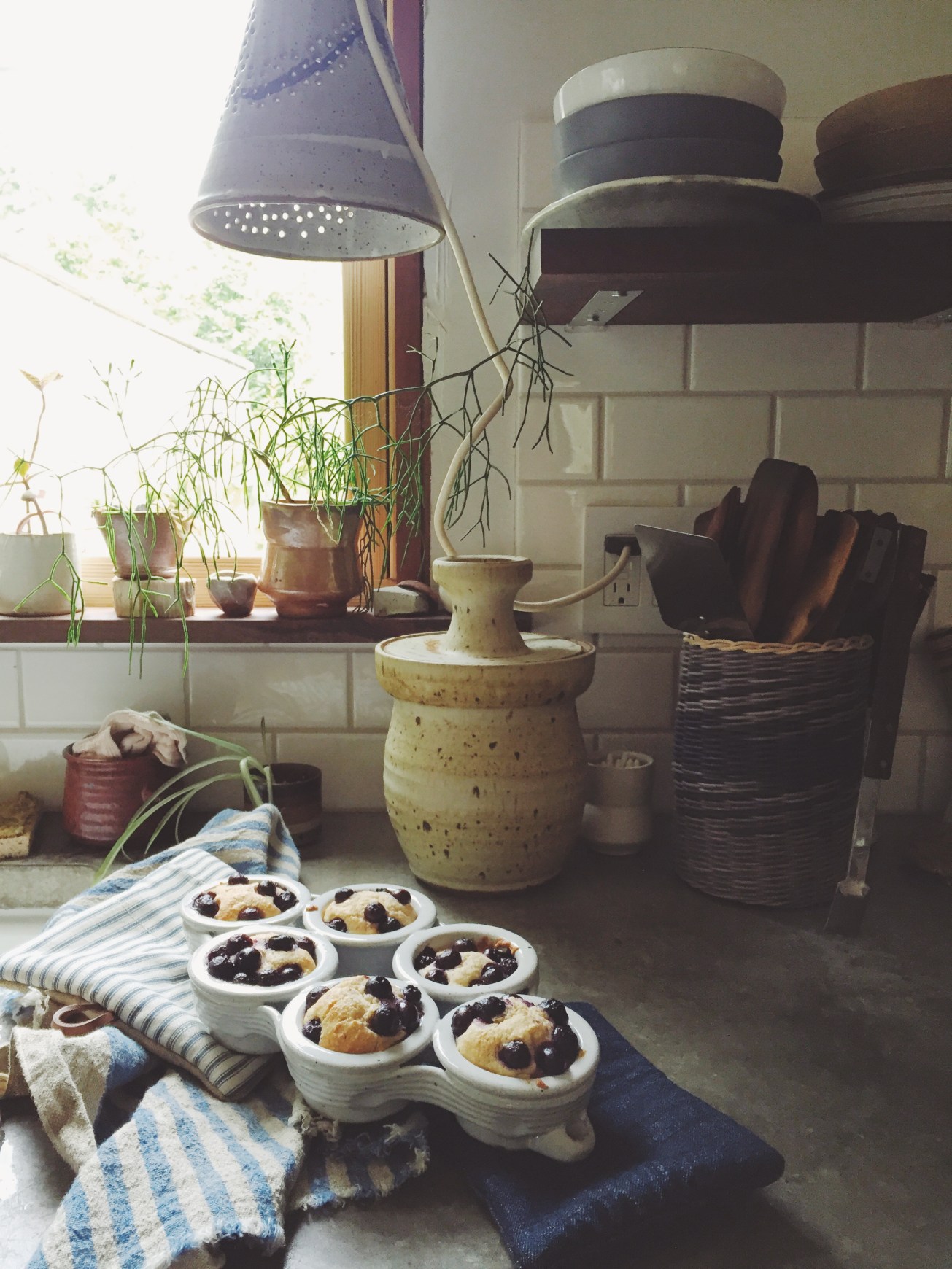 Blueberry muffin recipe _Magic Dream LIfe