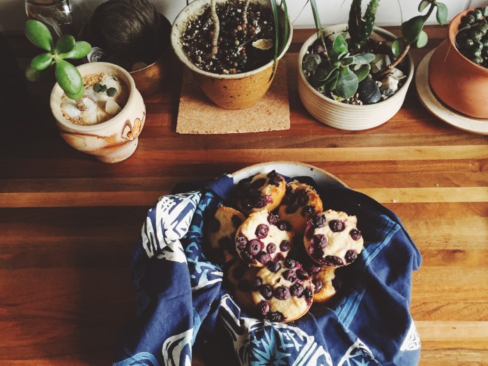 blueberry muffins - Magic Dream Life