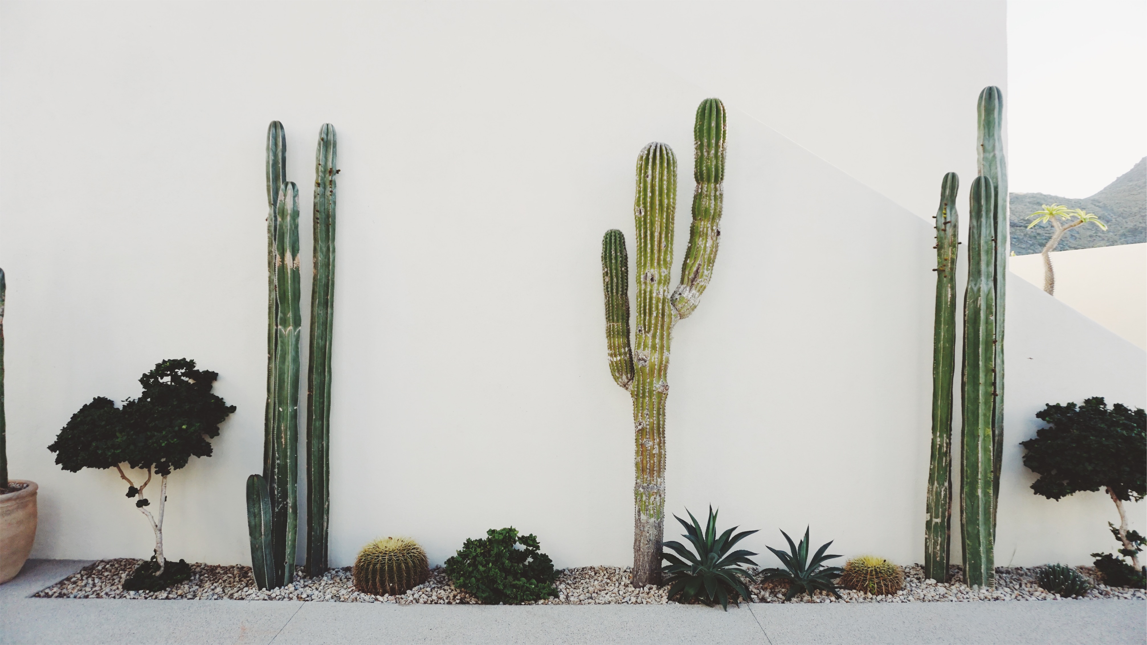 Best Places to Stay in Todos Santos- Emily Katz Travels Todo Santos Mexico - Cabo San Cristobal