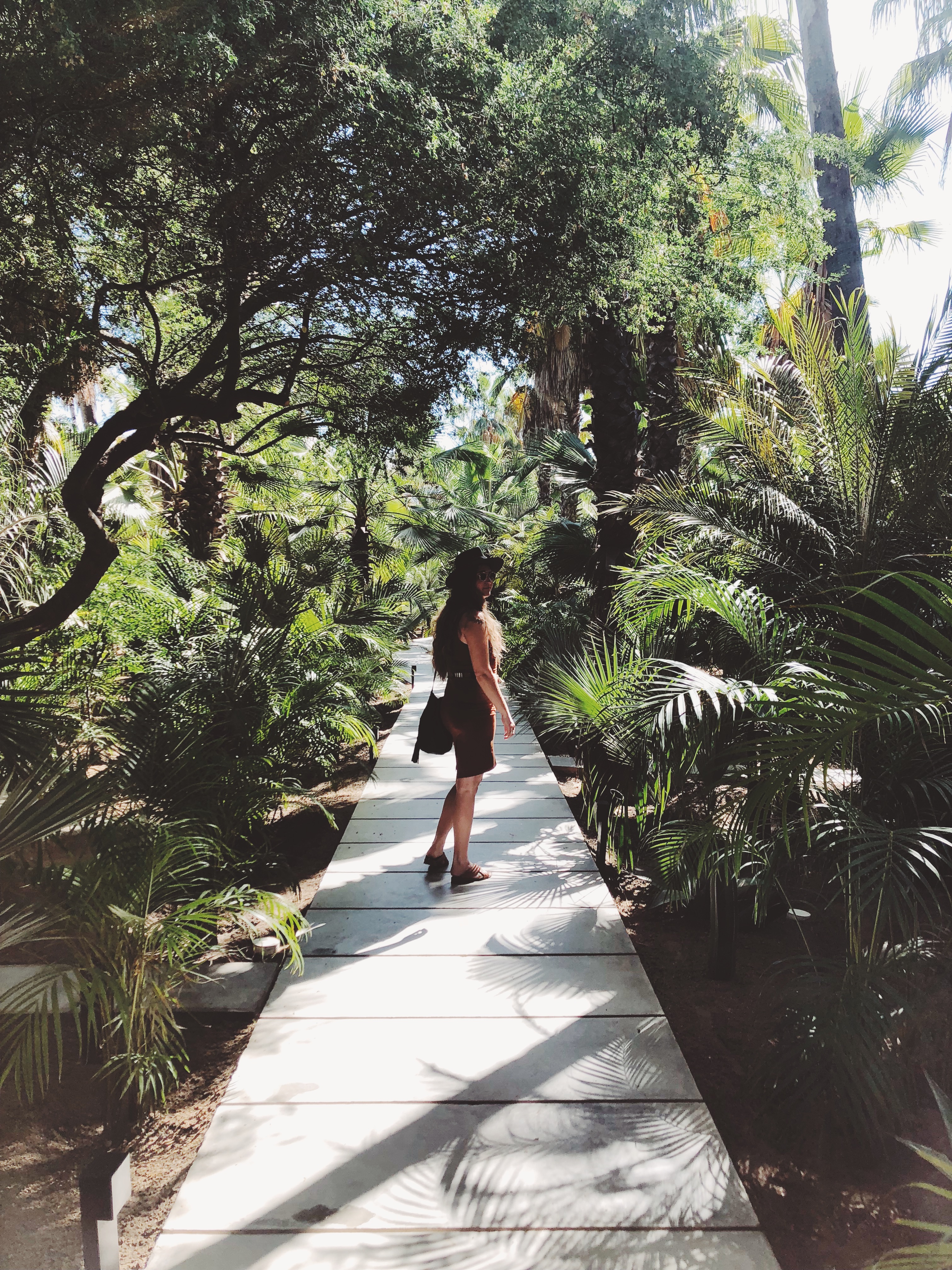 Best Places to Stay in Cabo- Emily Katz Travels Todo Santos Mexico - Cabo Acre Baja