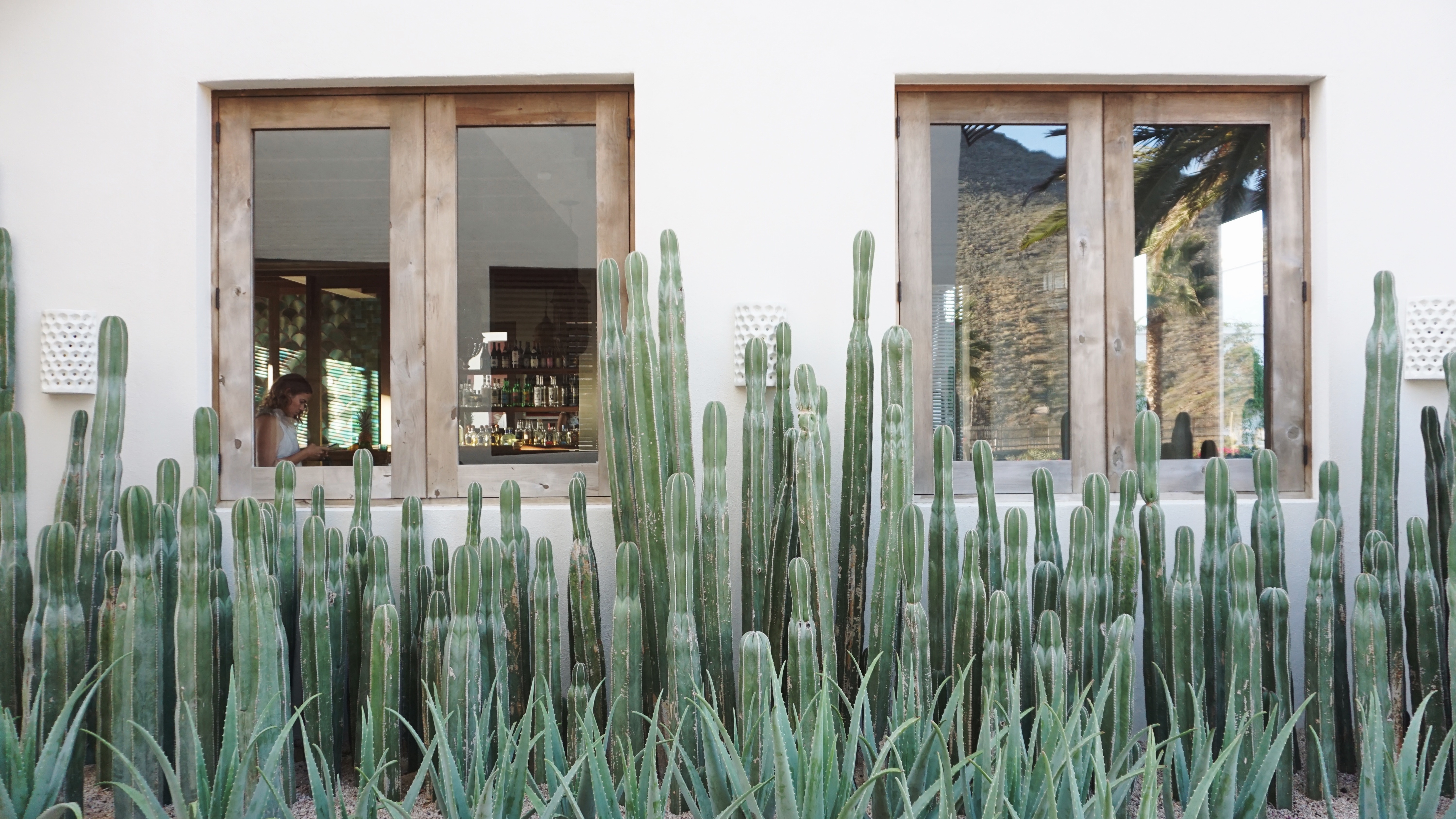 Best Places to Stay in Todos Santos - Emily Katz Travels Todo Santos Mexico - San Cristobal Hotel 