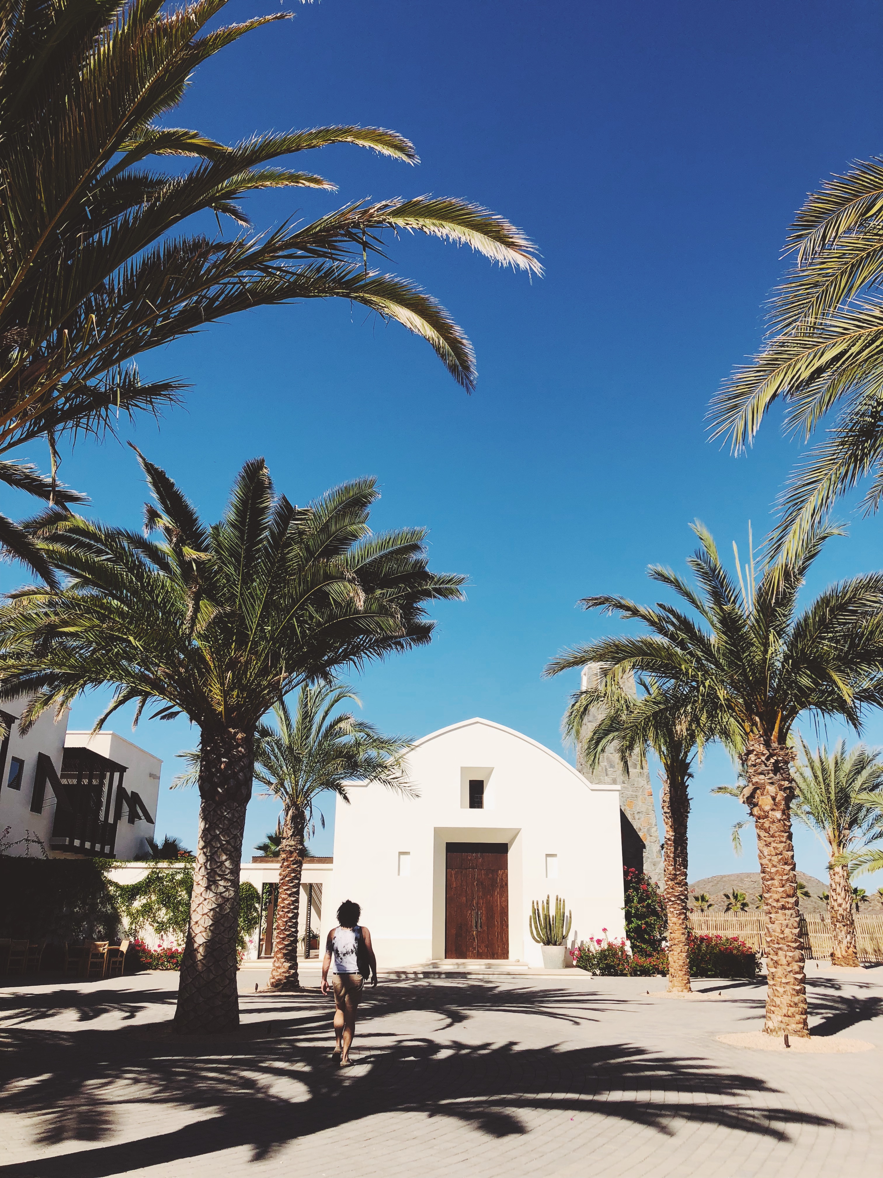 Best Places to Stay in Todos Santos - Emily Katz Travels Todo Santos Mexico - San Cristobal Hotel 