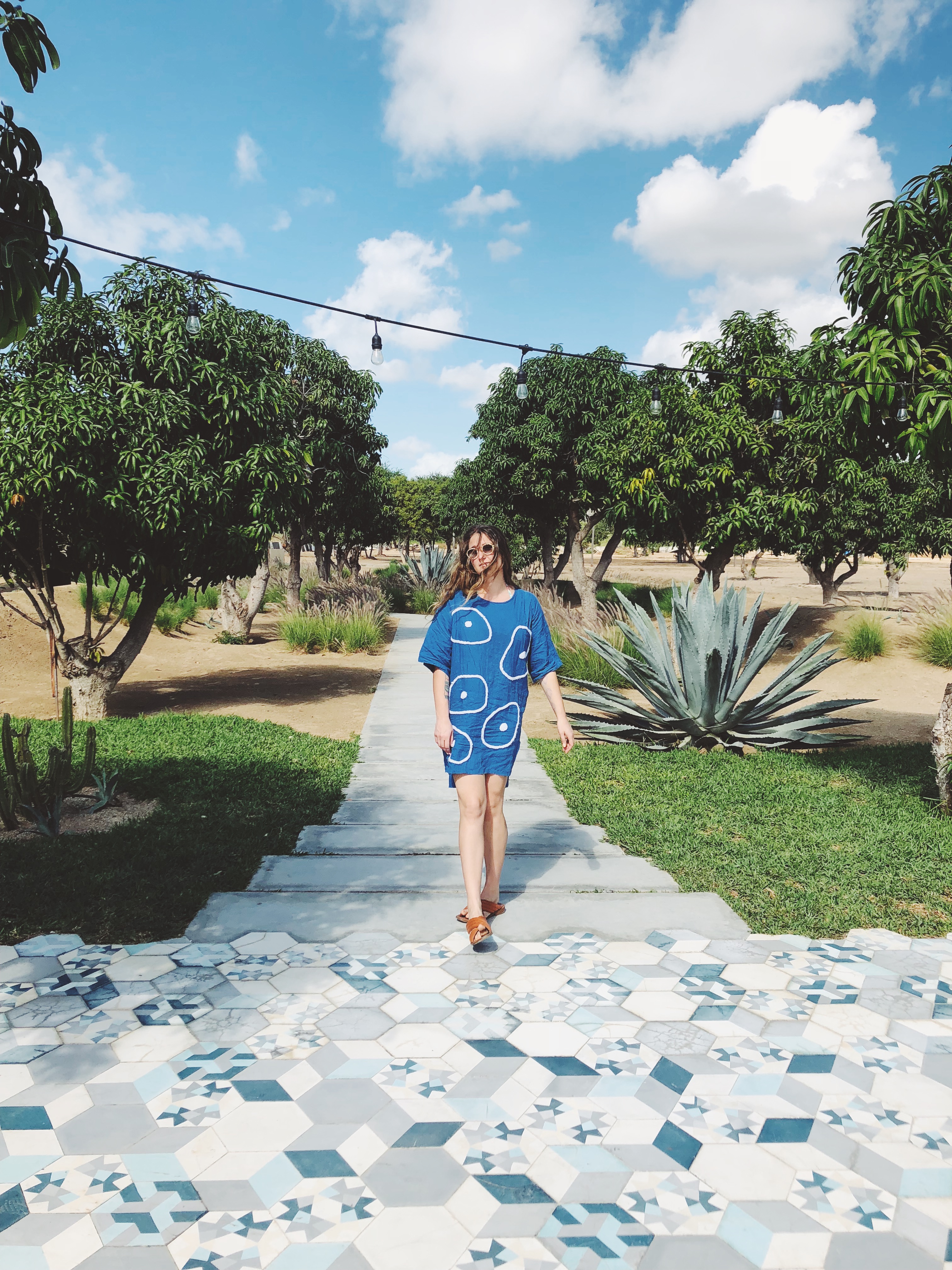 Best Places to Stay in Cabo- Emily Katz Travels Todo Santos Mexico - Cabo Acre Baja