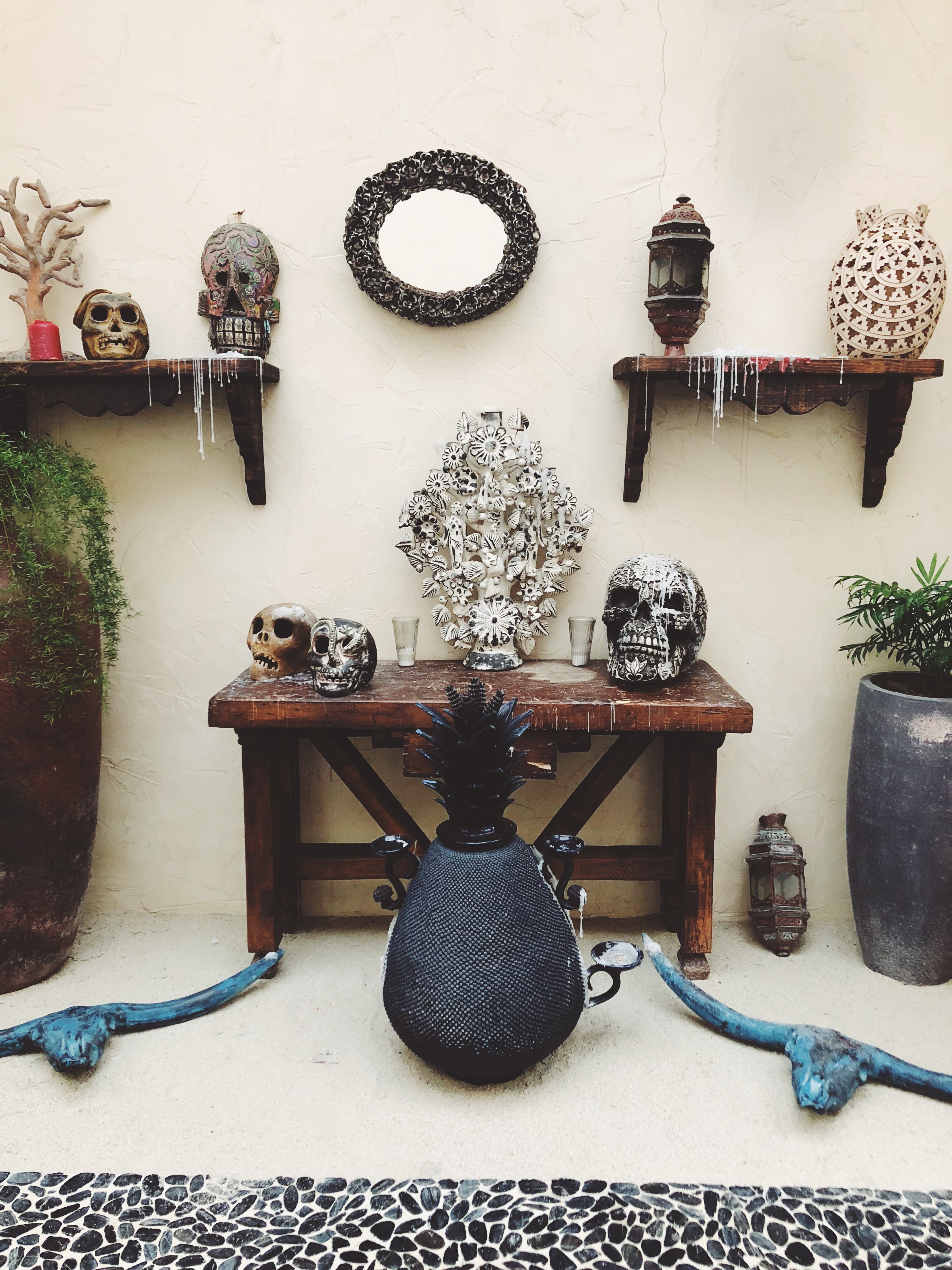 Best Places to Stay in Cabo- Emily Katz Travels Todo Santos Mexico - Cabo