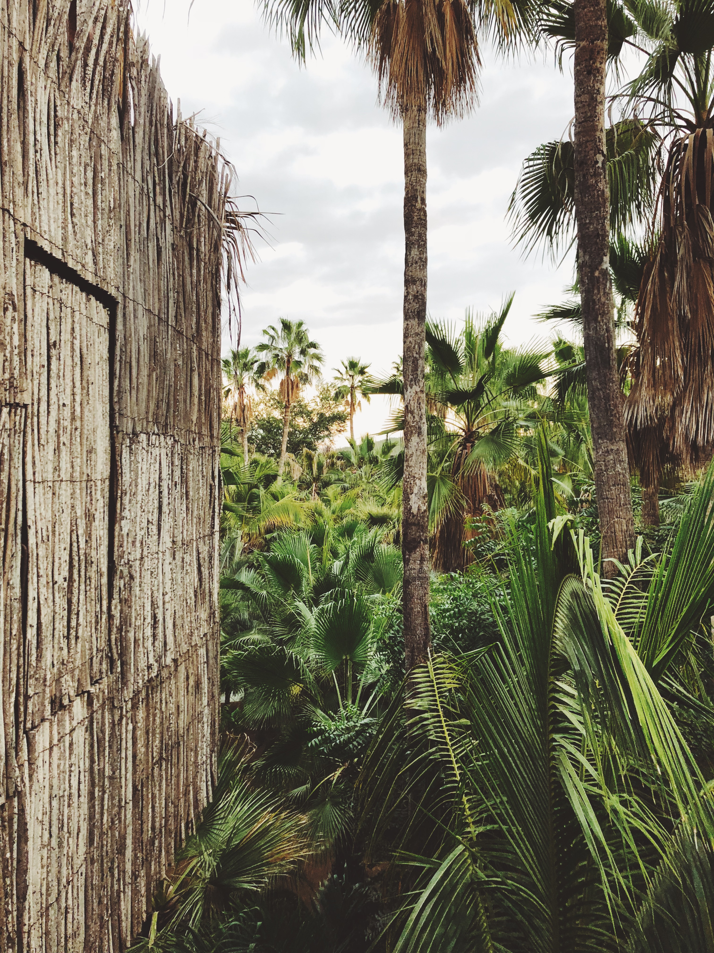 Best Places to Stay in Cabo- Emily Katz Travels Todo Santos Mexico - Cabo Acre Baja