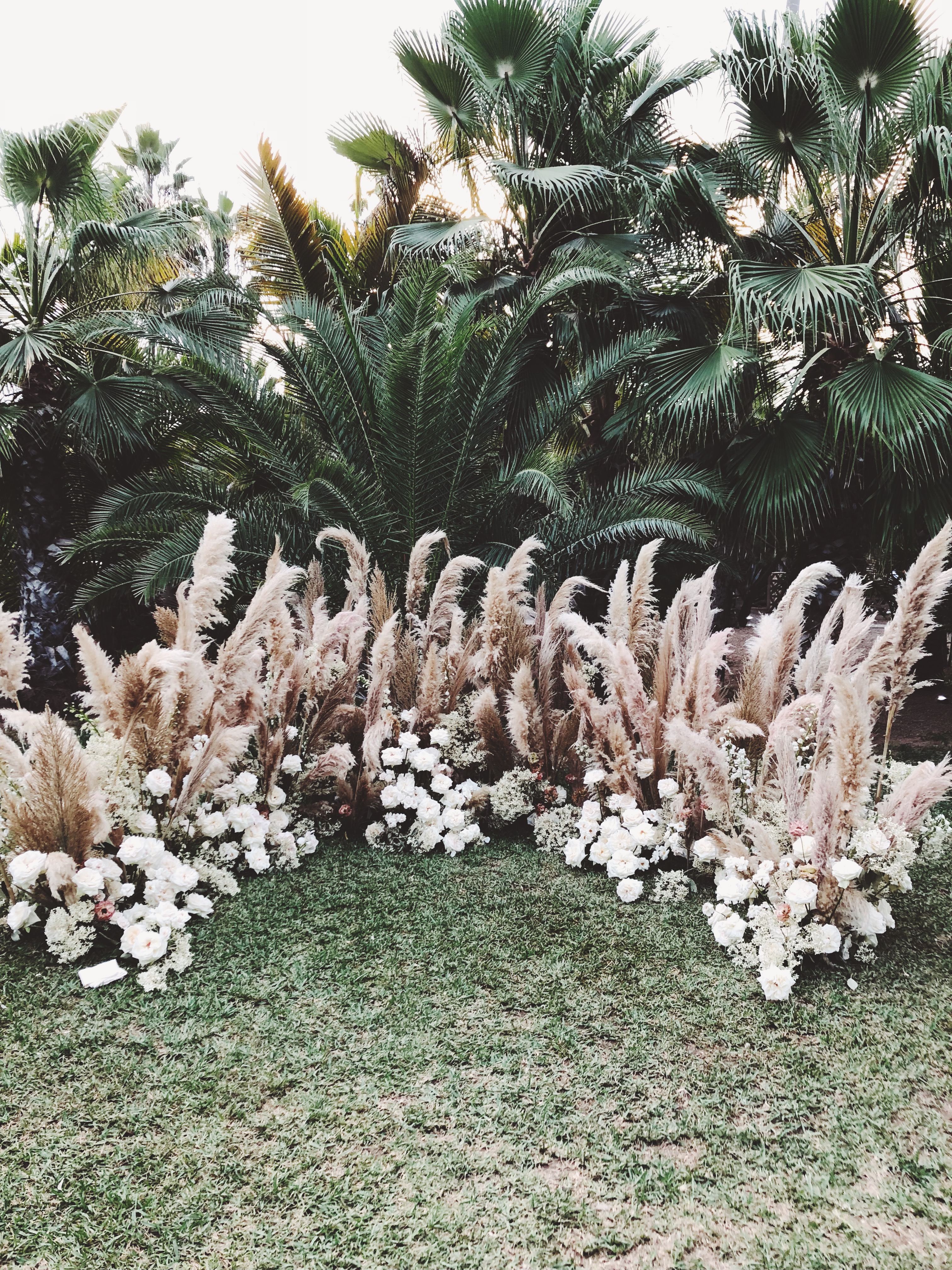 Best Places to Stay in Cabo- Emily Katz Travels Todo Santos Mexico - Cabo Acre Baja