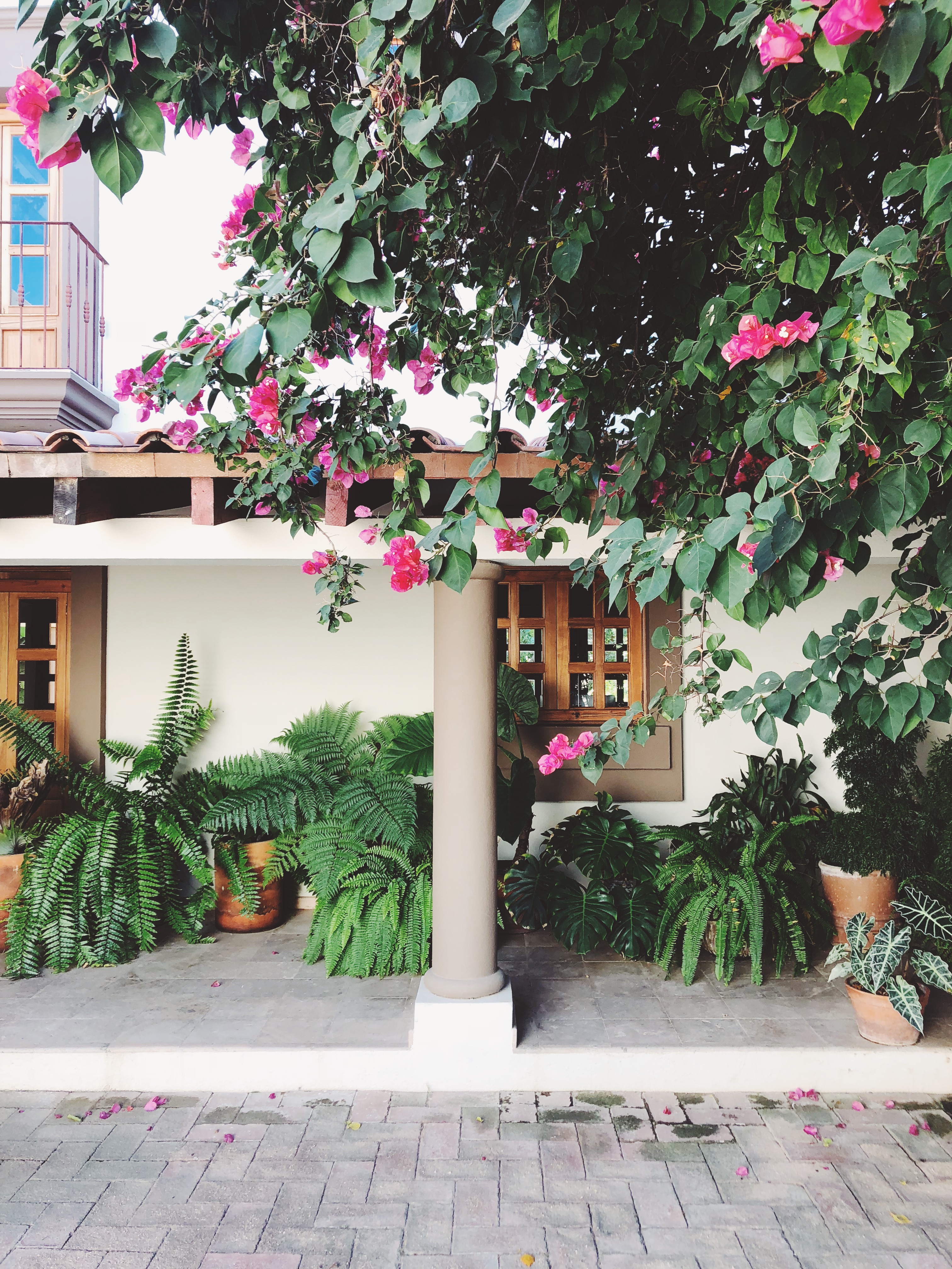 Best Places to Stay in Todos Santos - Emily Katz Travels Todo Santos Mexico - Cabo