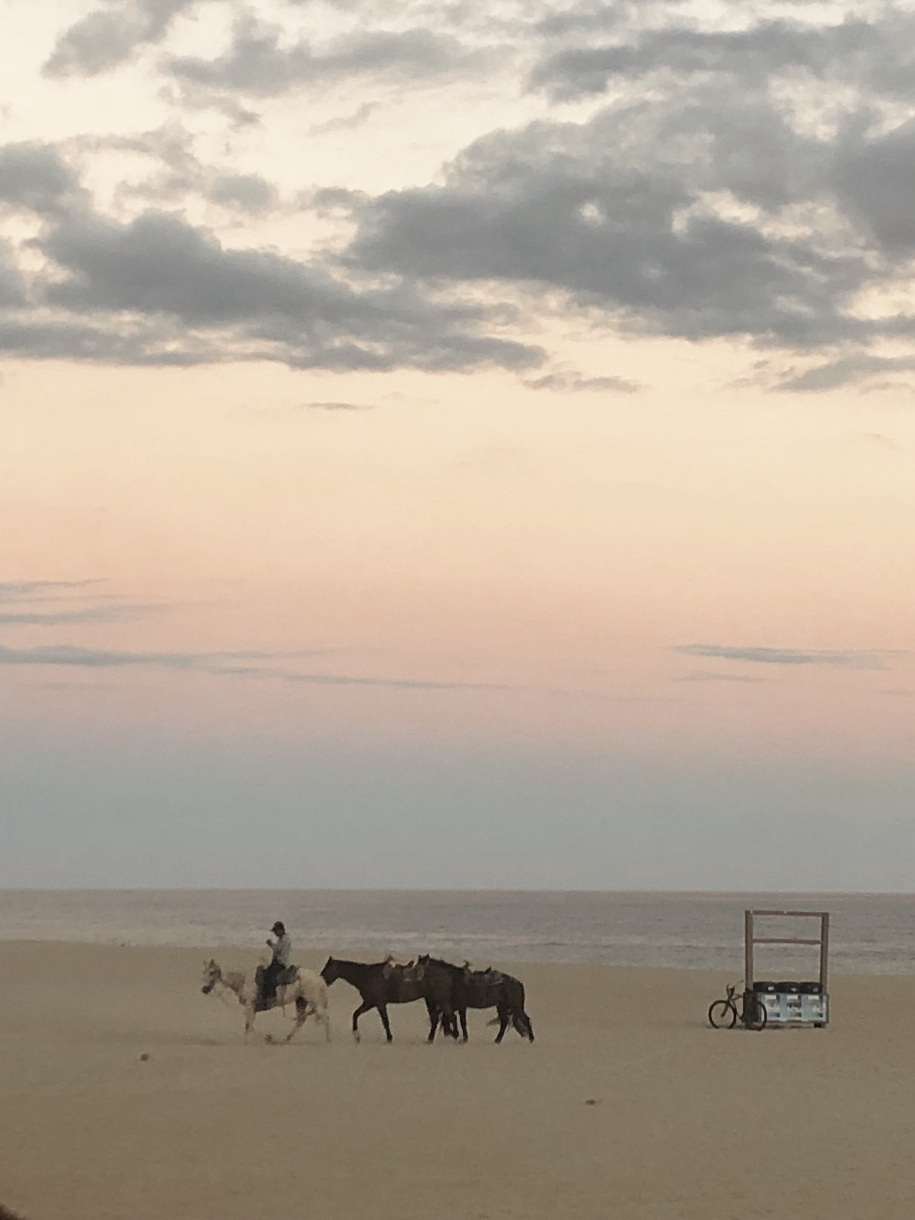 Best Places to Stay in Todos Santos - Emily Katz Travels Todo Santos Mexico - Cabo